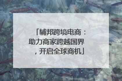 辅邦跨境电商：助力商家跨越国界，开启全球商机