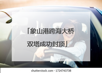 象山港跨海大桥双塔成功封顶