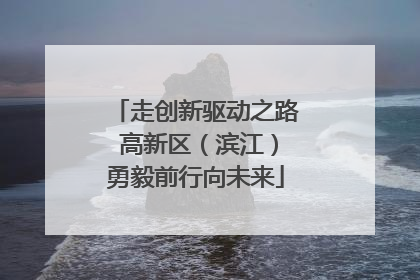 走创新驱动之路 高新区（滨江）勇毅前行向未来