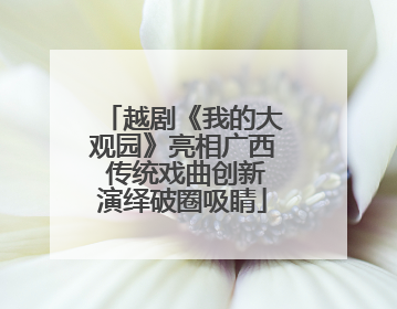 越剧《我的大观园》亮相广西 传统戏曲创新演绎破圈吸睛