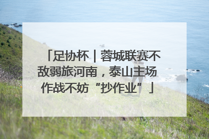 足协杯｜蓉城联赛不敌弱旅河南，泰山主场作战不妨“抄作业”