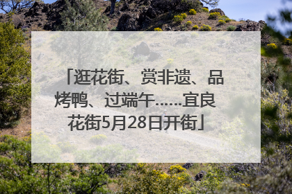 逛花街、赏非遗、品烤鸭、过端午……宜良花街5月28日开街