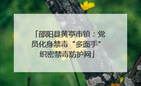 邵阳县黄亭市镇：党员化身禁毒“多面手” 织密禁毒防护网