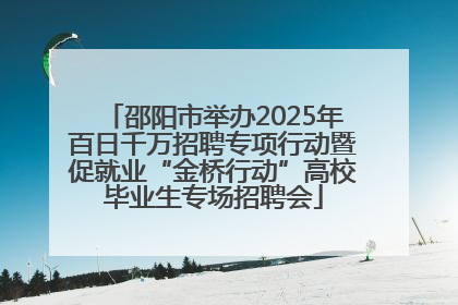 邵阳市举办2025年百日千万招聘专项行动暨促就业“金桥行动”高校毕业生专场招聘会