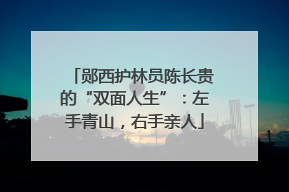 郧西护林员陈长贵的“双面人生”：左手青山，右手亲人