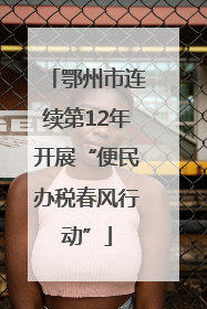 鄂州市连续第12年开展“便民办税春风行动”