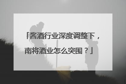 酱酒行业深度调整下，南将酒业怎么突围？