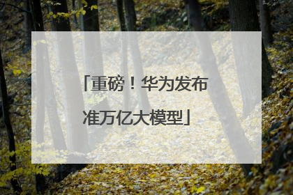 重磅！华为发布准万亿大模型