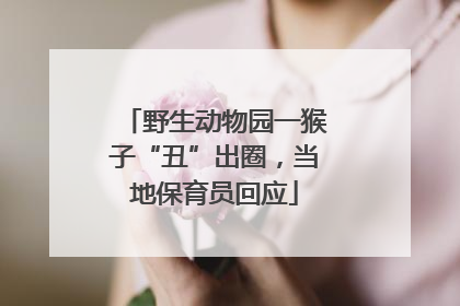 野生动物园一猴子“丑”出圈，当地保育员回应