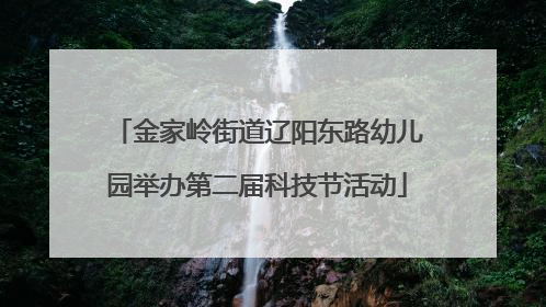 金家岭街道辽阳东路幼儿园举办第二届科技节活动