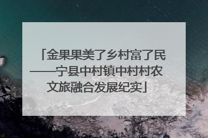 金果果美了乡村富了民——宁县中村镇中村村农文旅融合发展纪实