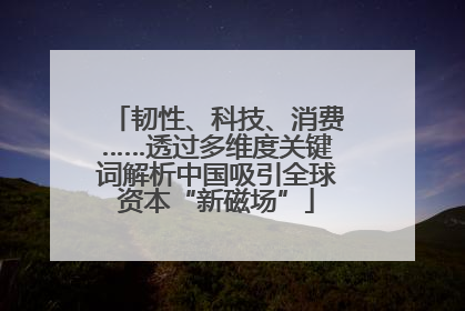 韧性、科技、消费……透过多维度关键词解析中国吸引全球资本“新磁场”