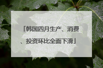 韩国四月生产、消费、投资环比全面下滑