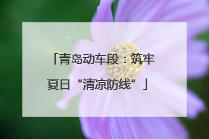 青岛动车段：筑牢夏日“清凉防线”
