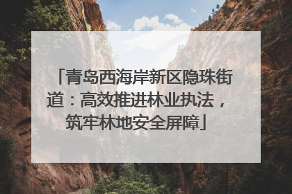 青岛西海岸新区隐珠街道：高效推进林业执法，筑牢林地安全屏障