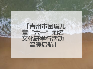 青州市困境儿童“六一”地名文化研学行活动温暖启航