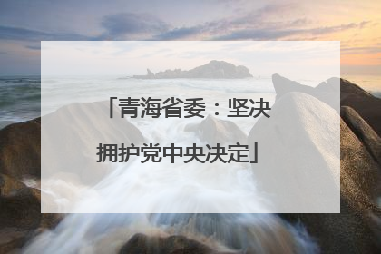 青海省委：坚决拥护党中央决定