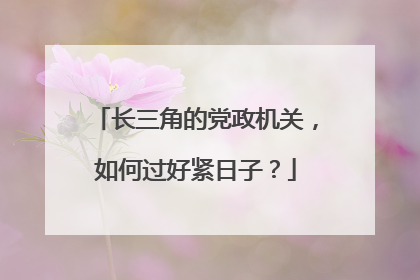 长三角的党政机关，如何过好紧日子？