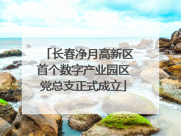 长春净月高新区首个数字产业园区党总支正式成立