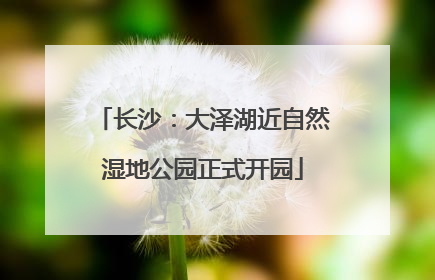 长沙：大泽湖近自然湿地公园正式开园