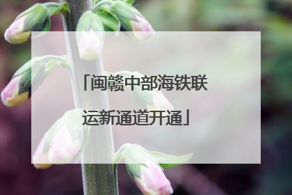 闽赣中部海铁联运新通道开通