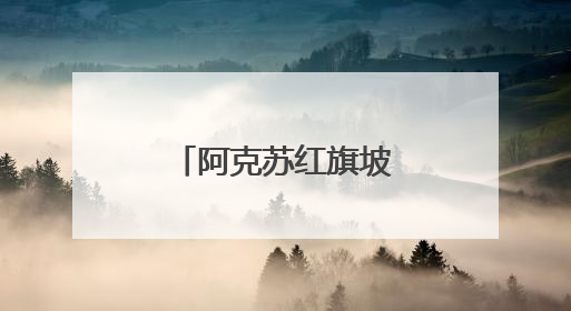 阿克苏红旗坡机场“平安暖心”阳光助残志愿服务驿站开启