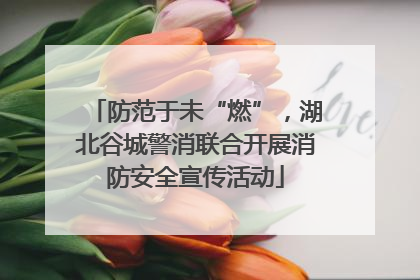 防范于未“燃”，湖北谷城警消联合开展消防安全宣传活动
