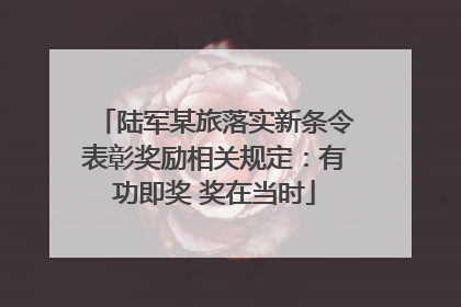 陆军某旅落实新条令表彰奖励相关规定：有功即奖 奖在当时