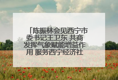 陈振林会见西宁市委书记王卫东 共商发挥气象赋能增益作用 服务西宁经济社会高质量发展
