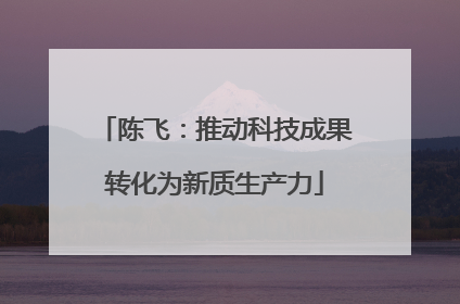 陈飞：推动科技成果转化为新质生产力