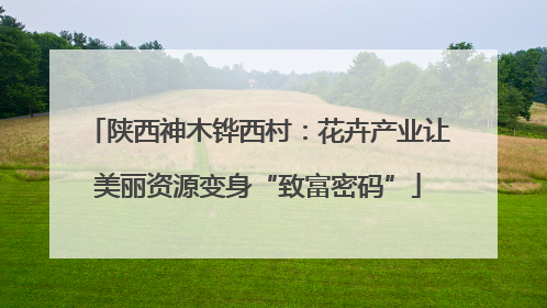 陕西神木铧西村：花卉产业让美丽资源变身“致富密码”