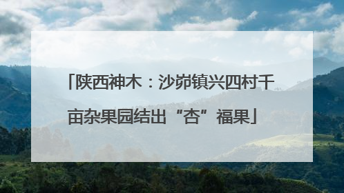 陕西神木：沙峁镇兴四村千亩杂果园结出“杏”福果