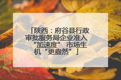 陕西：府谷县行政审批服务局企业准入“加速度” 市场生机“更盎然”