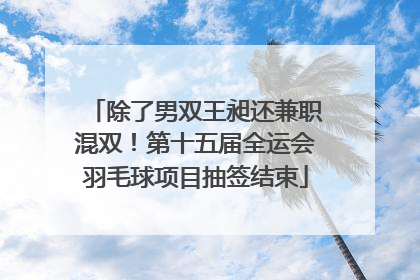 除了男双王昶还兼职混双！第十五届全运会羽毛球项目抽签结束
