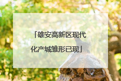 雄安高新区现代化产城雏形已现