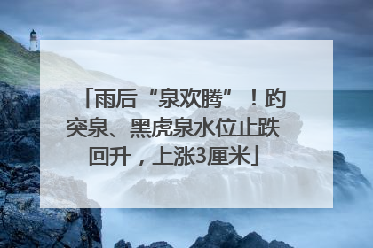 雨后“泉欢腾”！趵突泉、黑虎泉水位止跌回升，上涨3厘米