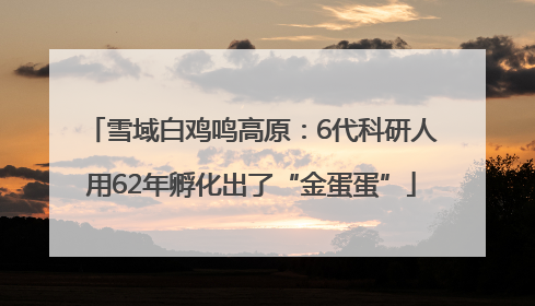 雪域白鸡鸣高原：6代科研人用62年孵化出了“金蛋蛋”