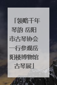 领略千年琴韵 岳阳市古琴协会一行参观岳阳楼博物馆古琴展