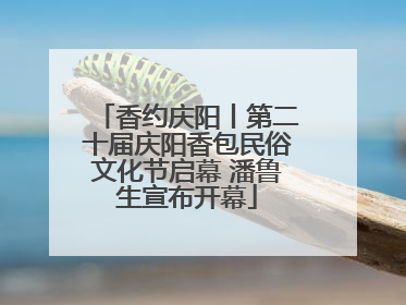 香约庆阳丨第二十届庆阳香包民俗文化节启幕 潘鲁生宣布开幕