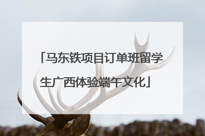 马东铁项目订单班留学生广西体验端午文化