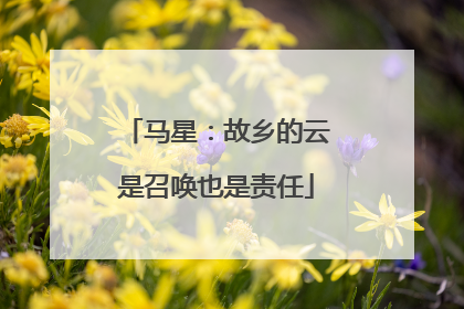马星:故乡的云是召唤也是责任