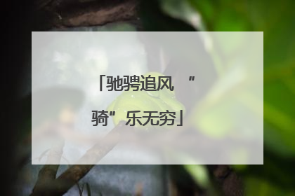 驰骋追风 “骑”乐无穷
