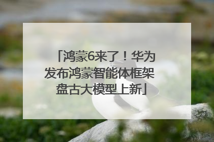 鸿蒙6来了！华为发布鸿蒙智能体框架 盘古大模型上新