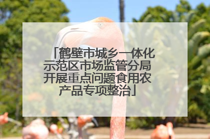 鹤壁市城乡一体化示范区市场监管分局开展重点问题食用农产品专项整治