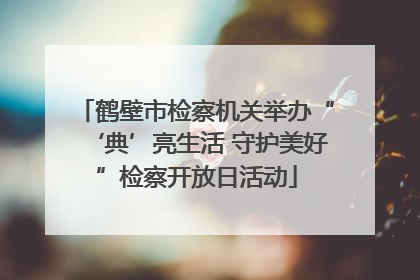 鹤壁市检察机关举办“‘典’亮生活 守护美好”检察开放日活动
