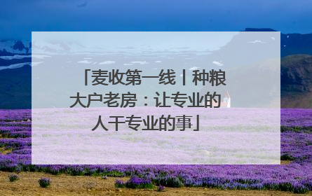 麦收第一线丨种粮大户老房：让专业的人干专业的事