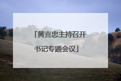 黄喜忠主持召开书记专题会议