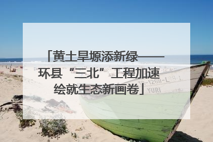 黄土旱塬添新绿——环县“三北”工程加速绘就生态新画卷