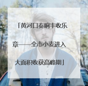 黄河口奏响丰收乐章——全市小麦进入大面积收获高峰期