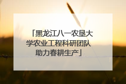 黑龙江八一农垦大学农业工程科研团队助力春耕生产